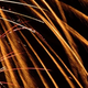 Image for article titled Shooting Challenge Gallery: Fireworks (Part 3)